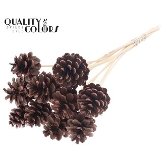 QC Pine cone on stick | Colour: Brown with Metallic Red | Metallic Red Tipped Insert Stick | Pine cone diameter 5 - 7 centimetres | Length ± 50 centimetres | Per 10 insert sticks
