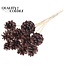 Pine cone on stick | Colour: Brown with Metallic Red | Metallic Red Tipped Pick | Pine cone diameter 5 - 7 centimetres | Length ± 50 centimetres | Per 10 picks