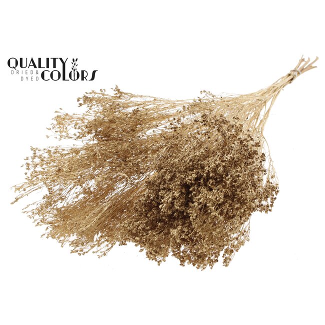 Broom Bloom p/bunch in poly Antique Gold