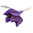 Dried Palm Spear | Colour: Mixed Colours | Speckled Purple Yellow | Spear-shaped Palm Leaves | Length ± 55 centimetres | Per 10 stems
