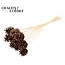 Pine cone on stick | Colour: Natural Brown | Pine cone diameter 5 - 7 centimetres | Length ± 50 centimetres | Per 10 picks