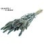 Dried Setaria | Colour: Pearl Light Blue | Setaria dried flowers | Length ± 70 centimetres | Weight 210 grams | Per bunch