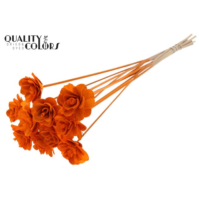 Beetal Rose on stick | Colour: Orange | Rose diameter 6 centimetres | Stick length ± 50 centimetres | Per 10 sticks
