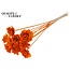 Beetal Rose op stok | Kleur: Oranje | Diameter roos 6 centimeter | Lengte bijsteker ± 50 centimeter | Per 10 bijstekers