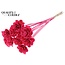 Beetal Rose op stok | Kleur: Kerskleurig | Diameter roos 6 centimeter | Lengte bijsteker ± 50 centimeter | Per 10 bijstekers