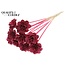 Beetal Rose on stick | Colour: Bordeaux red | Rose diameter 6 centimetres | Stick length ± 50 centimetres | Per 10 sticks