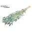 Dried Hare's Tail Grass Premium | Colour: Intense Light Blue | Lagurus Ovatus dried flowers | Length ± 70 centimetres | Weight 100 grams | Per bunch