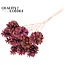 Pine cone on stick | Colour: Multicoloured Christmas colours | Pine cone diameter 5 - 7 centimetres | Length ± 50 centimetres | Per 10 picks