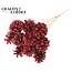 Pine cone on stick | Colour: Multicoloured Red | Pine cone diameter 5 - 7 centimetres | Length ± 50 centimetres | Per 10 picks