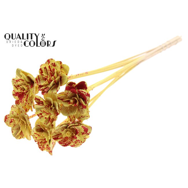 Beetal Rose on stem | Colour: Speckled Red Yellow | Rose diameter 6 centimetres | Stake length ± 50 centimetres | Per 10 stakes