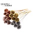 Pinecone on Stick | Colour: White | Metallic Chic Mix Pick | Pinecone Diameter 5 - 7 centimetres | Length ± 50 centimetres | Per 10 picks