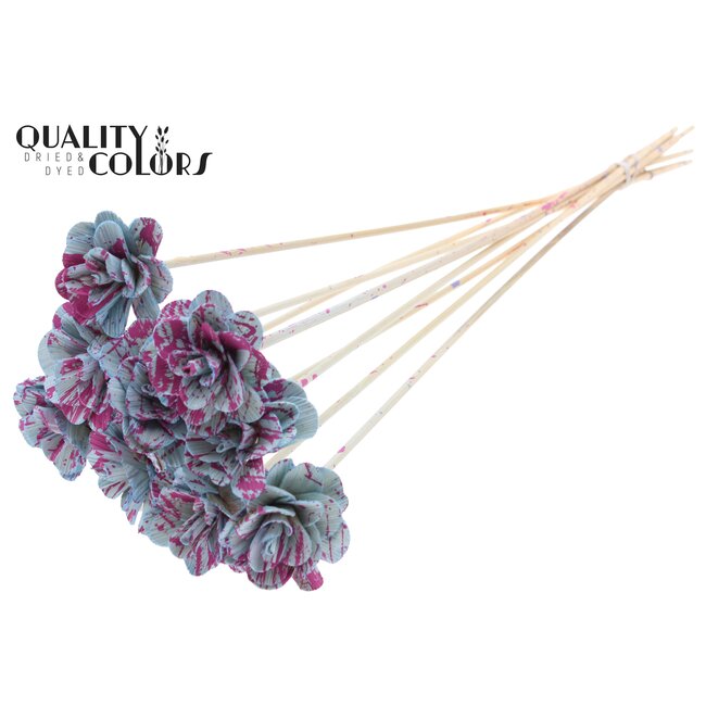 Beetal Rose op stok | Kleur: Gespetterd Lichtblauw Kerskleurig | Diameter roos 6 centimeter | Lengte bijsteker ± 50 centimeter | Per 10 bijstekers