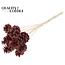 Pinecone on stick | Colour: Brown with Red | Red Tipped Pick | Pinecone diameter 5 - 7 centimetres | Length ± 50 centimetres | Per 10 picks