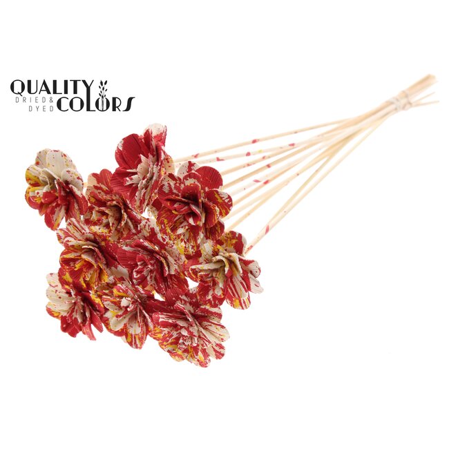 Beetal Rose on stick | Colour: Multicoloured Red Yellow | Rose diameter 6 centimetres | Stick length ± 50 centimetres | Per 10 sticks
