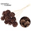 Dennenappel op stok | Kleur: Bruin | Sawdust Brown Bijsteker | Diameter dennenappel 5 - 7 centimeter | Lengte ± 50 centimeter | Per 10 bijstekers