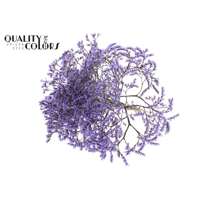 Limonium Tataricum per bunch Milka