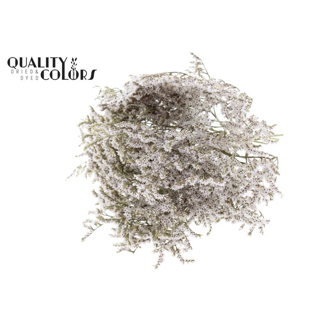 Dried Sea Lavender | Colour: Natural White | Limonium Tataricum Dried Flowers | Length ± 30 cm | Weight 45 grams | Per bunch