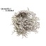 Dried Sea Lavender | Colour: Natural White | Limonium Tataricum Dried Flowers | Length ± 30 cm | Weight 45 grams | Per bunch