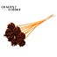 Pine cone on stick | Colour: Orange | Pine cone diameter 5 - 7 centimetres | Length ± 50 centimetres | Per 10 picks