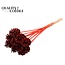 Pine cone on stick | Colour: Red | Pine cone diameter 5 - 7 centimetres | Length ± 50 centimetres | Per 10 picks