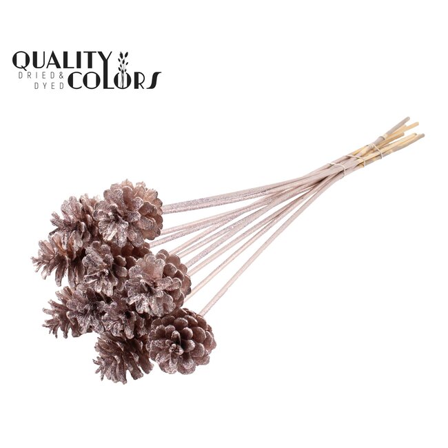 Pine cone on stick | Colour: Champagne with Glitter | Pine cone diameter 5 - 7 centimetres | Length ± 50 centimetres | Per 10 picks