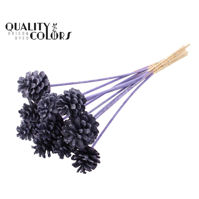 Pine cone on stick | Colour: Frosted Purple | Pine cone diameter 5 - 7 centimetres | Length ± 50 centimetres | Per 10 picks