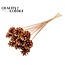 Pine cone on stick | Colour: Antique Gold | Pine cone diameter 5 - 7 centimetres | Length ± 50 centimetres | Per 10 picks