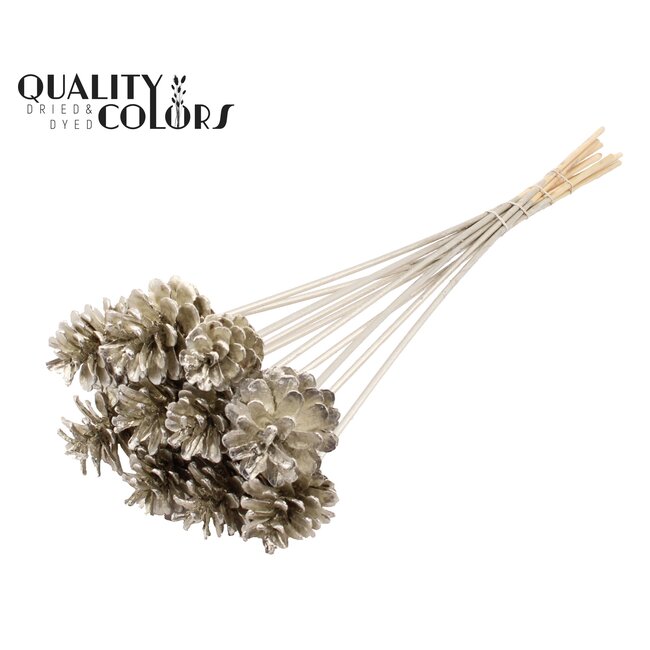 Pine cone on stick | Colour: Platinum-coloured | Pine cone diameter 5 - 7 centimetres | Length ± 50 centimetres | Per 10 picks