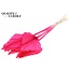 Palm spear per stem Intense Cerise
