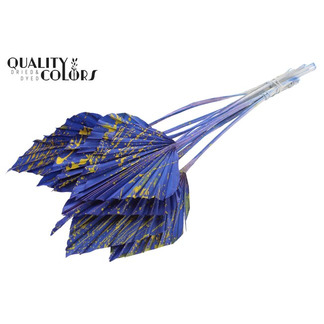 Dried Palm Spear | Colour: Mixed Colours | Splattered Blue Yellow | Spear-shaped Palm Leaves | Length ± 55 centimetres | Per 10 stems
