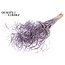 Dried Palm Leaf Vein | Curly Ting Ting | Colour: Milka Purple | Dried Decoration | Length ± 70 centimetres | 3 veins per stem | Per 33 stems