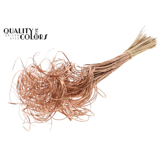 Dried Palm Leaf Vein | Curly Ting Ting | Colour: Copper | Dried Decoration | Length ± 70 centimetres | 3 veins per stem | Per 33 stems