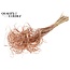 Dried Palm Leaf Vein | Curly Ting Ting | Colour: Copper | Dried Decoration | Length ± 70 centimetres | 3 veins per stem | Per 33 stems