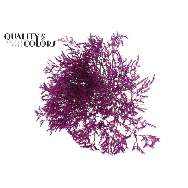 Getrockneter Meerlavendel | Farbe: Fliederfarben | Limonium Tataricum Trockenblumen | Länge ± 30 cm | Gewicht 45 Gramm | Pro Bund