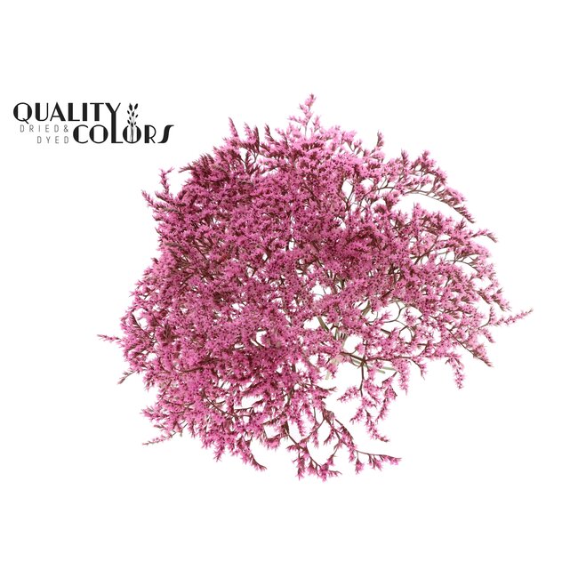 Dried Sea Lavender | Colour: Pink | Limonium Tataricum Dried Flowers | Length ± 30 cm | Weight 45 grams | Per bunch