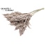 Dried Pampas Plumes | Colour: Frosted White | Pampas Dried Flowers | Length ± 70 centimetres | 10 plumes per bunch | Per bunch
