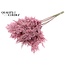 Pampas Grass 70cm 10st/bunch Frosted Pink