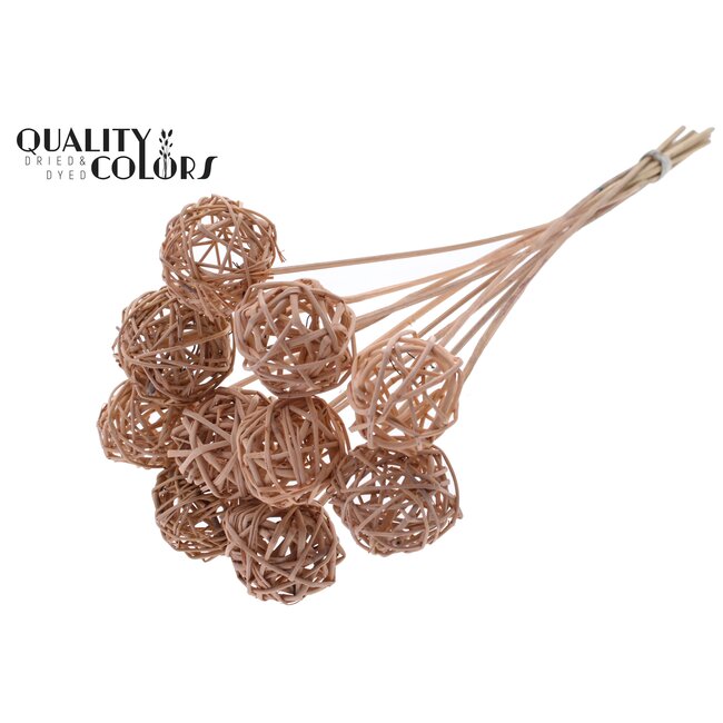 Rotan Bal op stok | Kleur: Frosted Zalmkleurig | Bruce Ball Bijsteker | Diameter 5 centimeter | Lengte ± 50 centimeter | Per 10 bijstekers