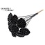 Dried Lotus Pods on Stick | Colour: Black | Lotus Diameter 5 - 7 centimetres | Pick Length ± 50 centimetres | Per 10 picks