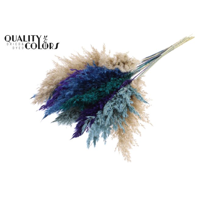 Dried Pampas Plumes | Scandinavian Colours | Colour: Mixed Colours | Pampas Dried Flowers | Length ± 70 centimetres | 10 plumes per bunch | Per bunch