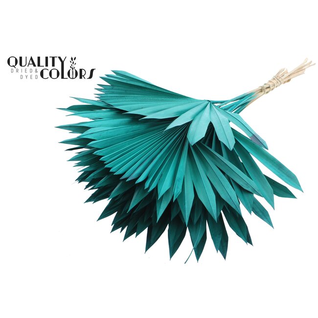 Dried Palm Leaf in Fan Shape | Colour: Turquoise | Palm Sun Dried Flowers | Length ± 50 centimetres | Per 10 stems