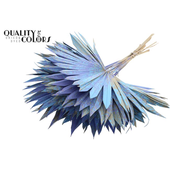Dried Palm Leaf in Fan Shape | Colour: Multicoloured Light Blue | Palm Sun Dried Flowers | Length ± 50 centimetres | Per 10 stems