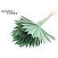 Dried Palm Leaf in Fan Shape | Colour: Frosted Mint Green | Palm Sun Dried Flowers | Length ± 50 centimetres | Per 10 stems