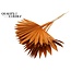 Dried Palm Leaf in Fan Shape | Colour: Terracotta | Palm Sun Dried Flowers | Length ± 50 centimetres | Per 10 stems