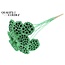 Gedroogde Lotus Peulen op stok | Kleur: Mintgroen | Diameter Lotus 5 - 7 centimeter | Lengte bijsteker ± 50 centimeter | Per 10 bijstekers