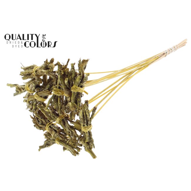 Decoratieve Coco Rose Boeketje op stok | Kleur: Metallic Geel | Coco Rose Posy Bijsteker | Lengte ± 50 centimeter | Per 10 bijstekers