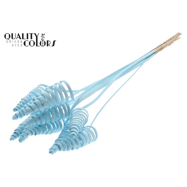 Palm Spiraal op steel | Kleur: Lichtblauw | Cane Cone Bijsteker | Lengte bijsteker ± 50 centimeter | Per 10 bijstekers