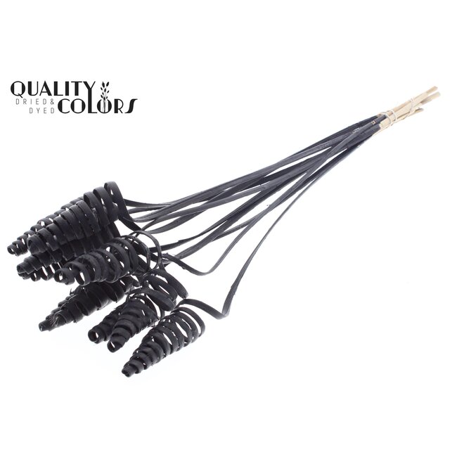 Palm Spiraal op steel | Kleur: Zwart | Cane Cone Bijsteker | Lengte bijsteker ± 50 centimeter | Per 10 bijstekers