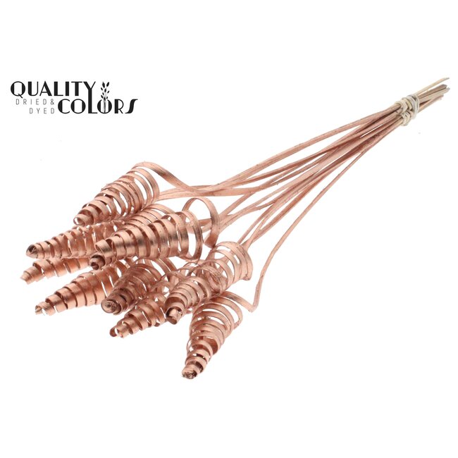 Palm Spiraal op steel | Kleur: Koperkleurig | Cane Cone Bijsteker | Lengte bijsteker ± 50 centimeter | Per 10 bijstekers