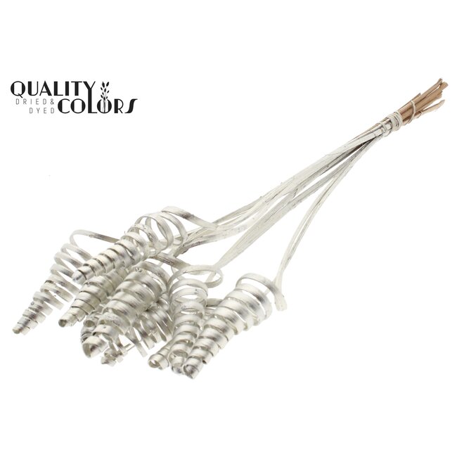 Palm Spiraal op steel | Kleur: Platinakleurig | Cane Cone Bijsteker | Lengte bijsteker ± 50 centimeter | Per 10 bijstekers